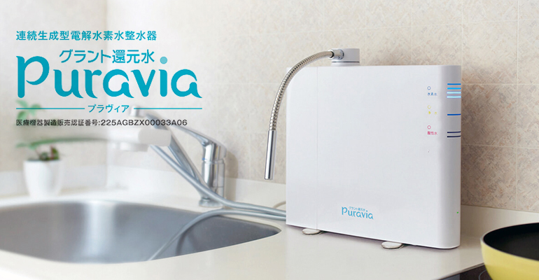 プラビア本体画像